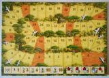 Carcassonne: Safari Screenshot