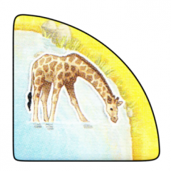 nahled-obrazek