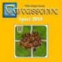 Carcassonne: Spiel 15 (Nová edice)