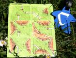 Carcassonne: Půlky I Screenshot