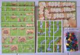 Carcassonne: Základní hra + Řeka I Screenshot