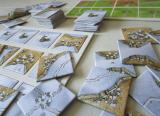 Carcassonne: Zimní krajina PnP Screenshot