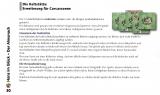 Carcassonne: Kacíři a kultovní místa Screenshot